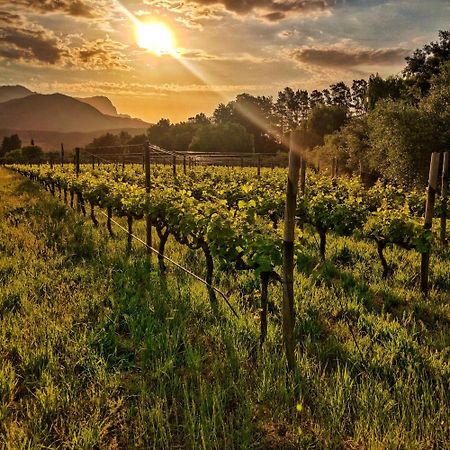 Glamping At The Well In Franschhoek Zewnętrze zdjęcie