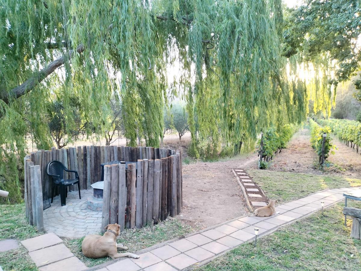 Glamping At The Well In Franschhoek Zewnętrze zdjęcie